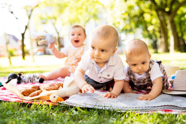 Babies crawling on picnic blanket, group picnic outdoor in city park.