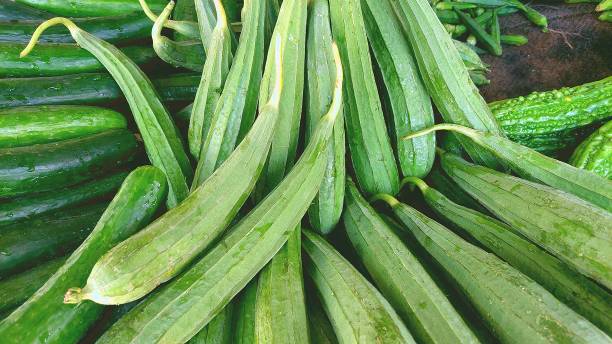 istock ridge gourd or bitter loofah closeup 2154600570