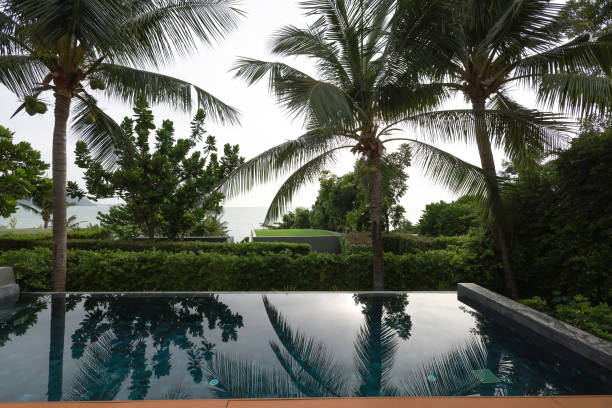 A luxury hotel with an infinity pool overlooking a beautiful beach and the ocean.Modern Beach House With Sea View Swimming Pool