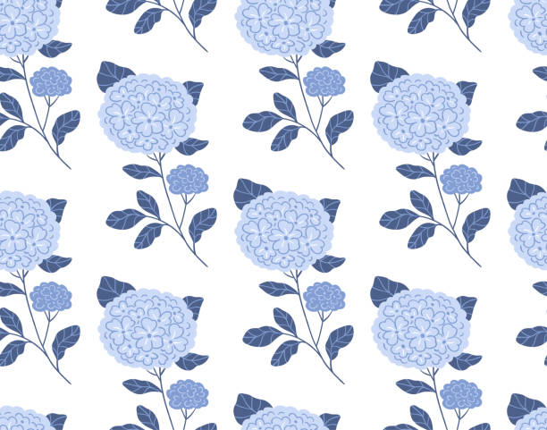 illustrazioni stock, clip art, cartoni animati e icone di tendenza di ortensia blu modello senza cuciture in stile disegnato a mano. fiori stilizzati su sfondo bianco. illustrazione di ortensie in stile disegnato a mano. modello senza soluzione di continuità per matrimoni eleganti. stampa botanica senza fine - ortensia