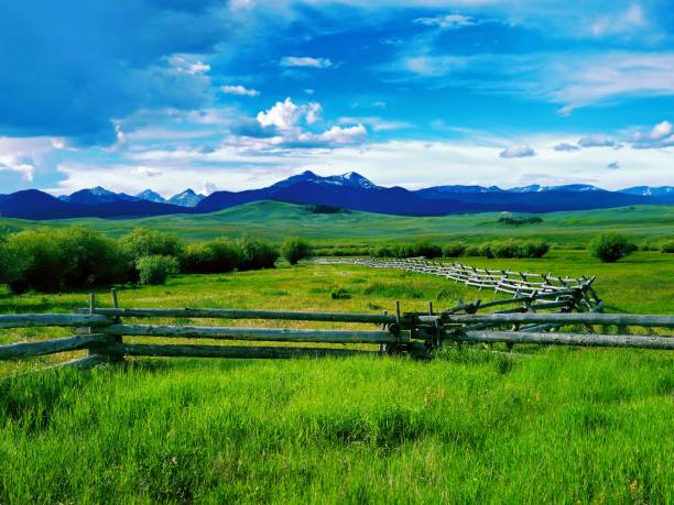 A scenic view captures Montana's majestic mountains stretching across expansive valley plains