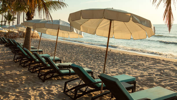 istock Row of empty lounge chairs and umbrellas on sandy beach, lined with palm trees and facing calm ocean 2154608240