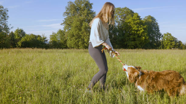 Young woman plays rope tug in grasses with dog at rural park