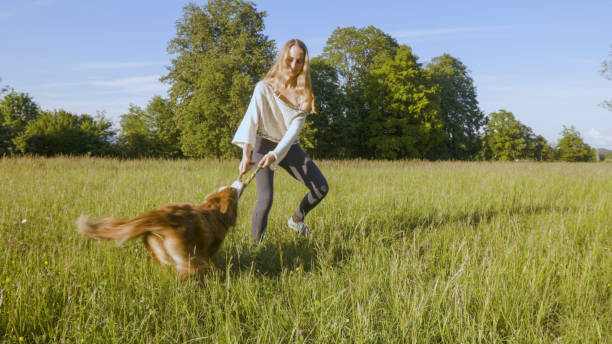 istock Young woman plays in grasses with dog 2154610009