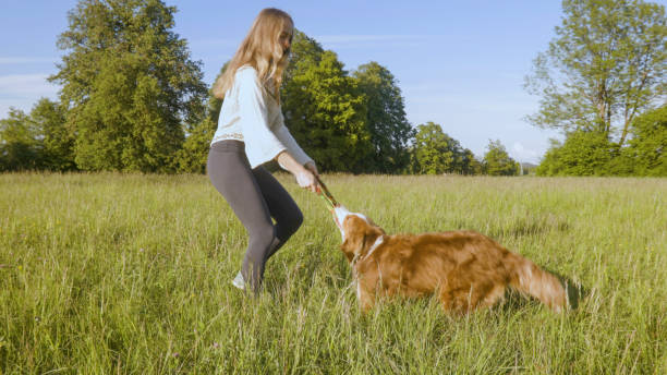 istock Young woman plays in grasses with dog 2154610020