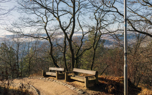 istock A beautiful landscaped park with benches, walking paths and green lawns. 2154612105