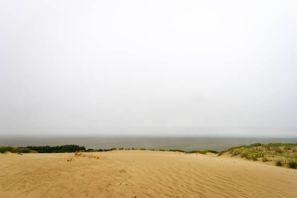 Sand ripples. Pattern on the sand formed by wind and water (Slowinski National Park in Poland)