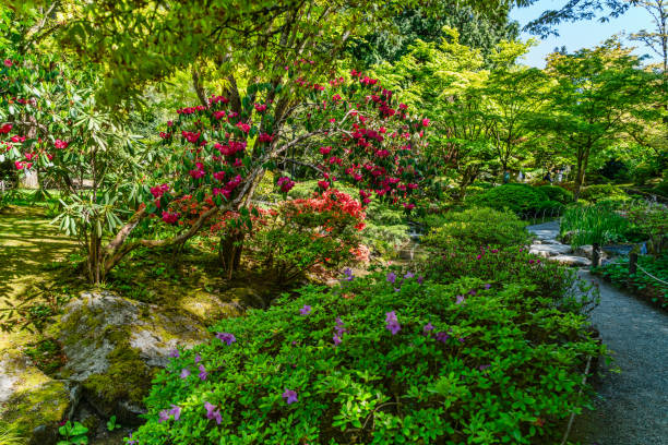 istock Seattle Garden Landscape 3 2154614527