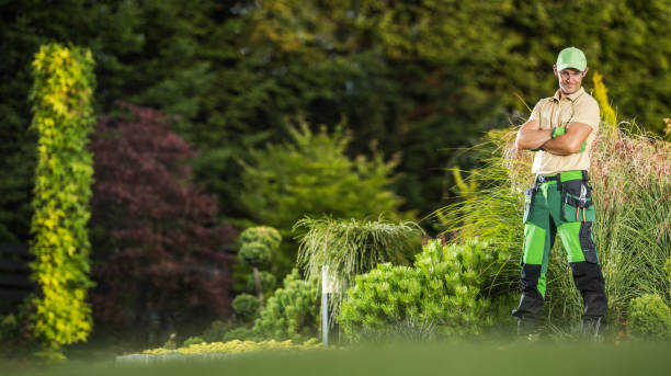 istock Professional Garden Worker Performing Backyard Garden Maintenance 2154616894