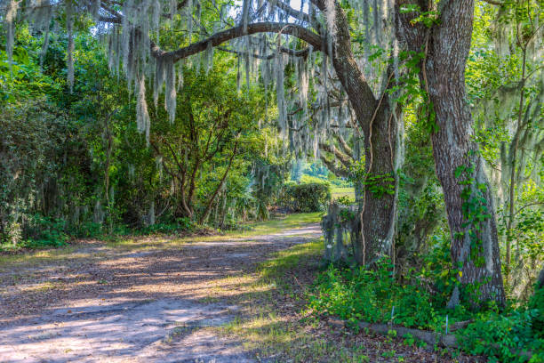 Charleston, South Carolina