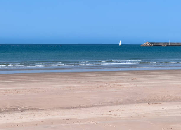 istock Sailboat on the horizon 2154617995