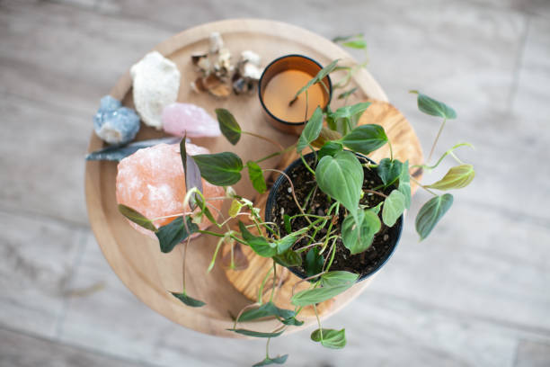 istock a plant, a salt lamp, a candle and crystals 2154618537
