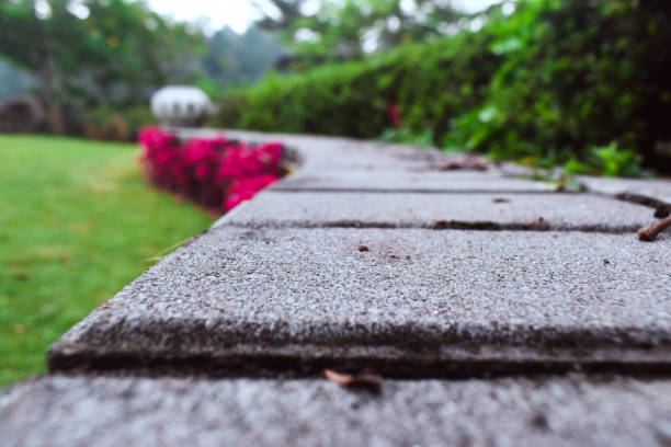 a very beautiful garden decoration and very good as a background