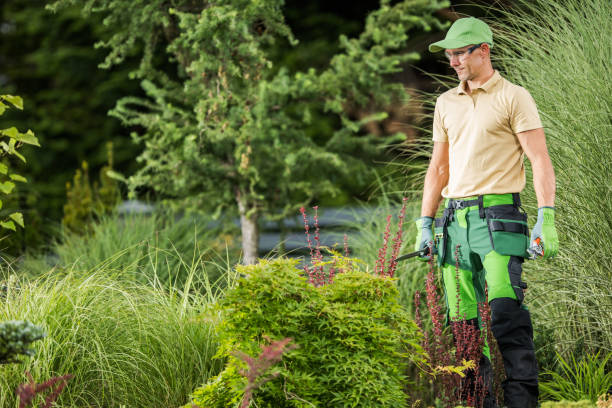 istock Man in Green Pants and Hat Standing in Garden 2154621149