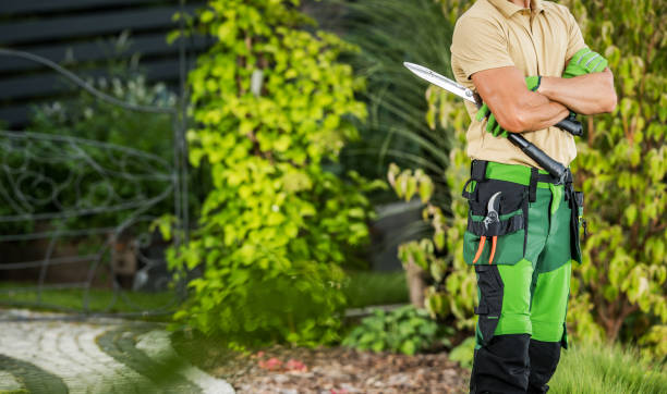 istock Professional Gardener in Green and Black Uniform Holding Scissors 2154621681