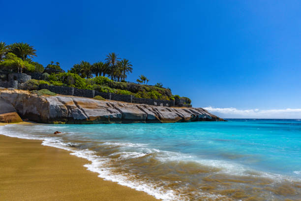 Del Duque Beach Tenerife Costa Adeje