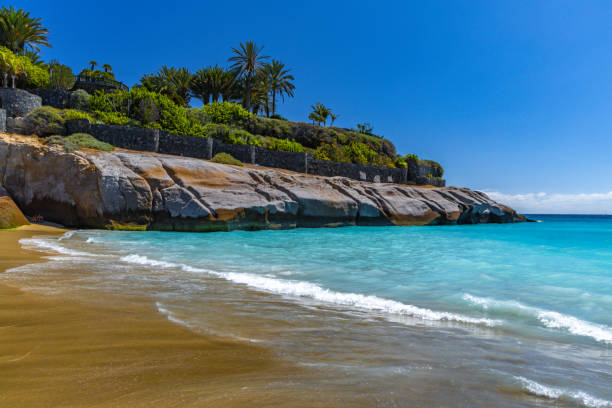 Del Duque Beach Tenerife Costa Adeje