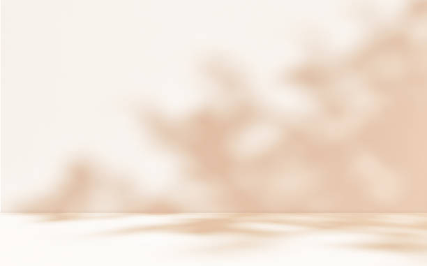 istock Empty Autumn beige cream room studio with shadow for product presentation. 2154630533