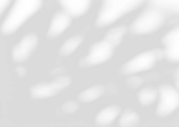 istock White wall with shadow of leaves overlay. Sunlight effect shadow on the wall. 2154632329