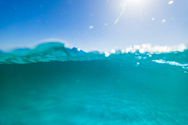 istock Surface abstractions and light rays swimming through the ocean in clear turquoise blue water on a sunny day 2154633118