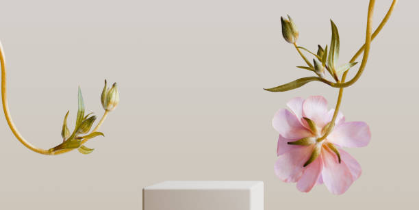 istock Flower decoration product presentation background with podium 2154635486