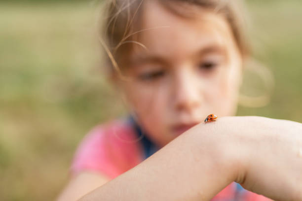 A close-up of a boy's hands holding a ladybug