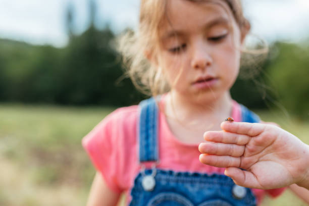 Cheerful little girl holding lady bug on her hand and explore the nature