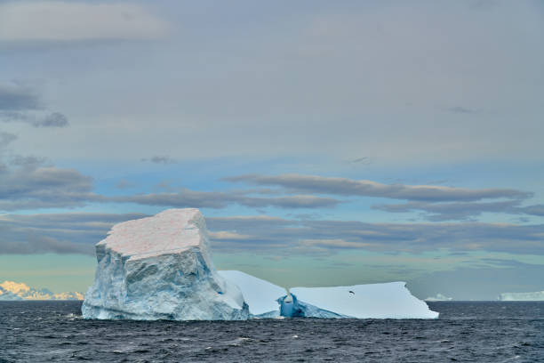 istock King Haakon Bay: Exploring The South Georgia Island 2154635809