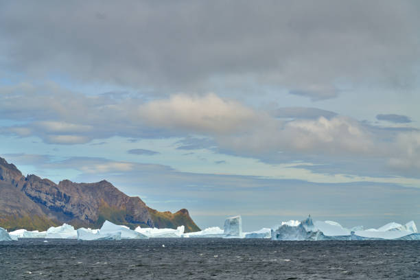 istock King Haakon Bay: Exploring The South Georgia Island 2154635832