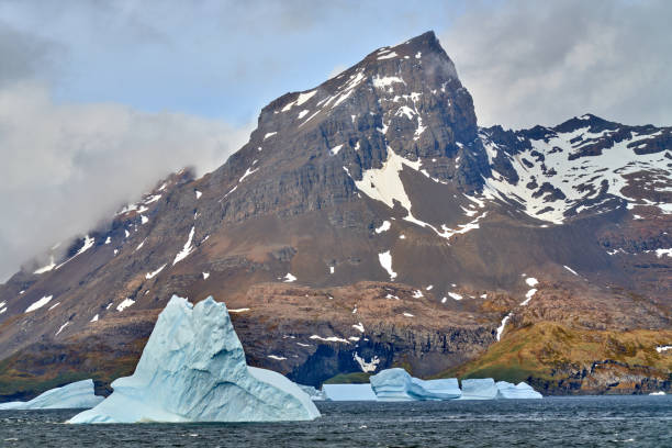 istock King Haakon Bay: Exploring The South Georgia Island 2154635835