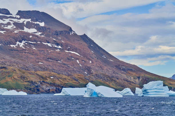 istock King Haakon Bay: Exploring The South Georgia Island 2154637790