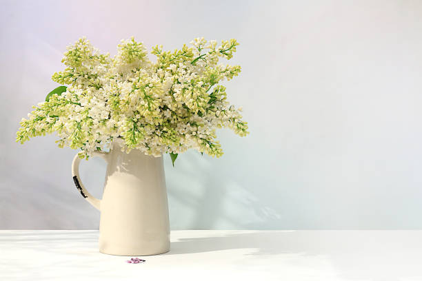 istock Abstract floral composition, beautiful spring blooming lilac branches in a vase on a sunny background, banner. still life with space for text, floral holiday card, summer greeting concept, selective focus. 2154639147