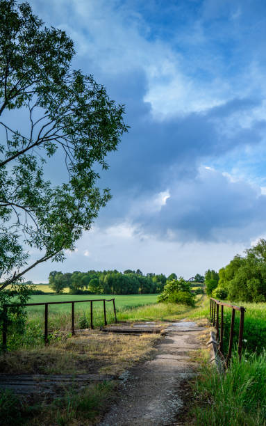 Summer landscape with field and clouds in the sky