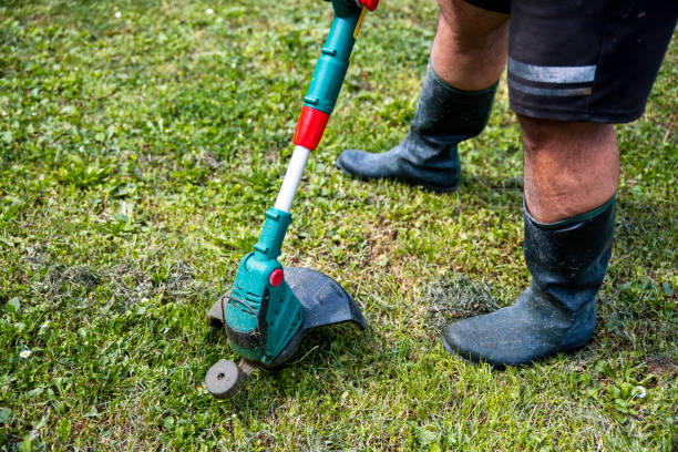 istock Man in rubber boots trimming grass lawn 2154649479