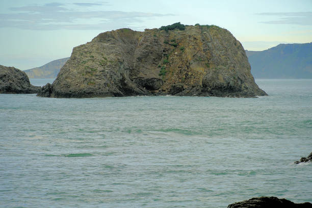 Looking out across a Wharariki Beach Landscape on the West Coast of the Tasman District of New Zealand. This image has a retro style feel for a modern twist.