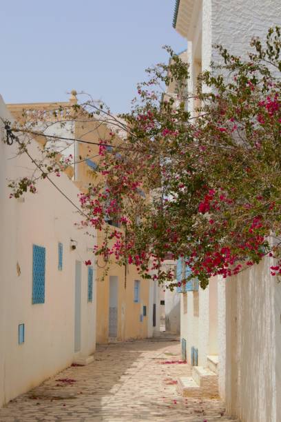 istock Pretty street in Tunisia 2154659287