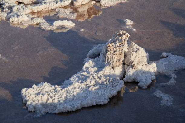 Death Valley is the hottest and driest place in North America due to its lack of surface water and low relief. Thanks to the rainfall the valley received this year, you can see a shallow lake formed in Badwater Basin. This is an extremely rare event. People can even kayak in Death Valley although only temporarily.