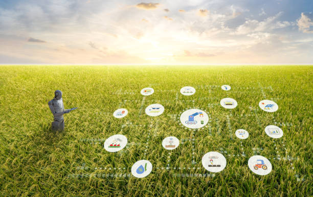 istock Agriculture technology concept with assistant robot with graphic display 2154670846