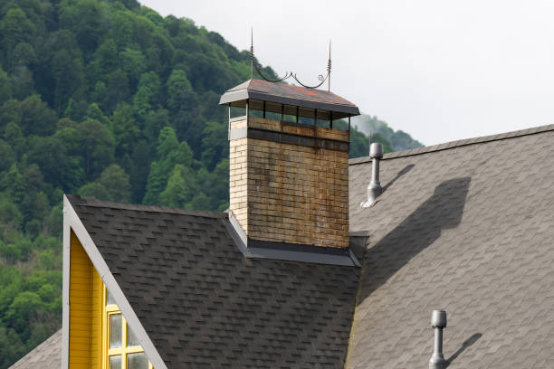 Chimney of a private house against the background of the sky and green forest.