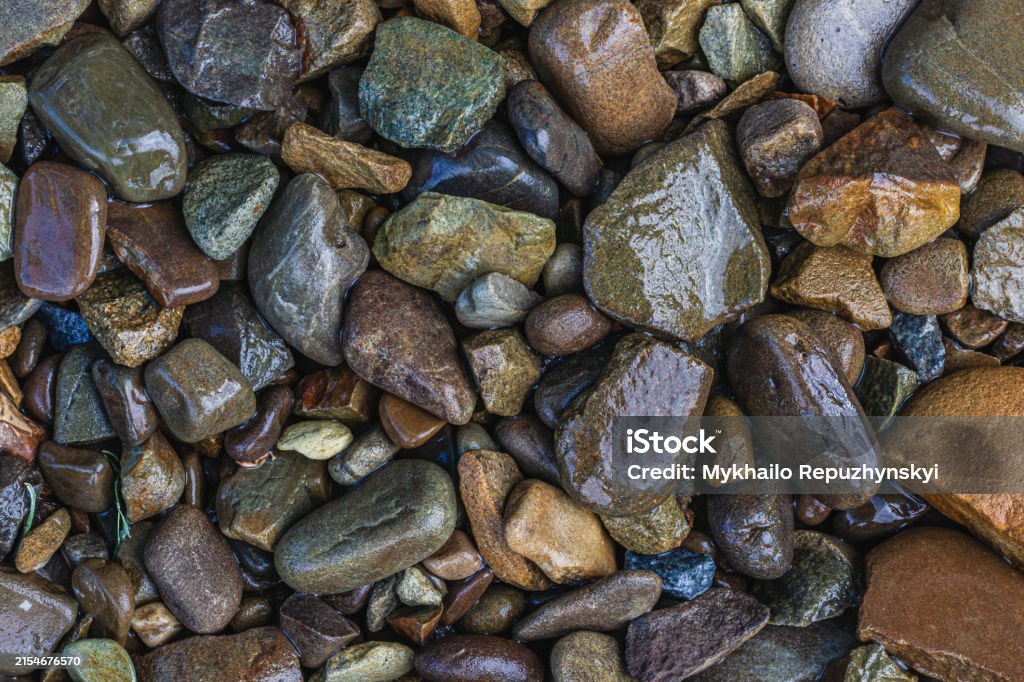 River Pebbles Rounded These Are Wet River Pebbles And Small Round Pebbles Solid Background ...