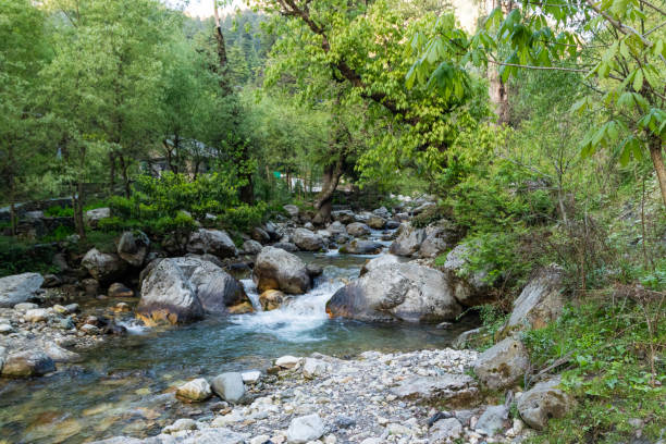 istock The various views of Jibhi Village 2154677931