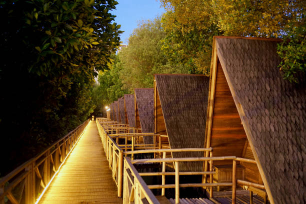 Multiple lodging in the coastal area (mangrove forest), illuminated with warm led lights in the afternoon.
