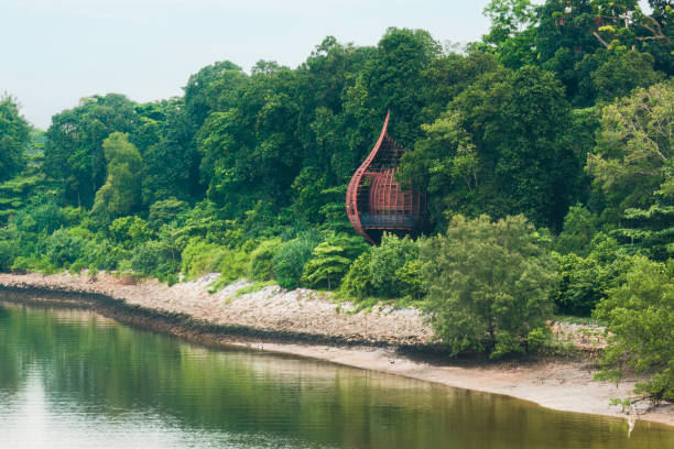 Treehouse in Sungei Buloh Nature Reserve