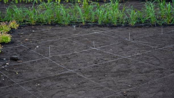 istock Landscaping. A lined plot of land for planting ornamental plants. 2154685336