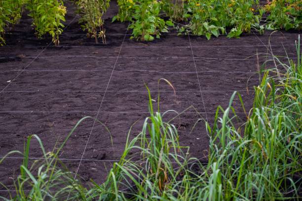 istock Landscaping. A lined plot of land for planting ornamental plants. 2154685436