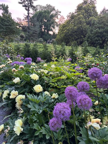 istock Scenic American garden in summer 2154685619