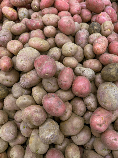 istock Pink potatoes on a market counter as a background. Texture 2154689236