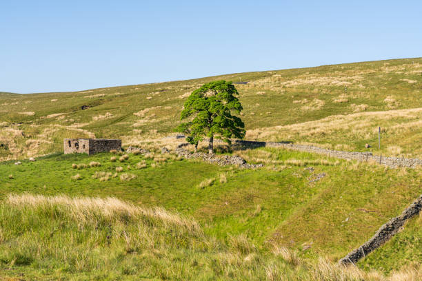 istock Landscape in the Peak District near Coalcleugh, England, UK 2154694591