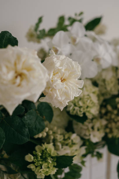 istock Still Life Flower Arrangements 2154696640