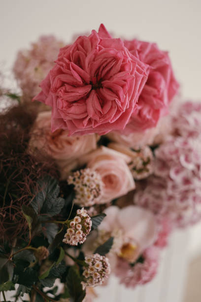 Still Life Flower Arrangements